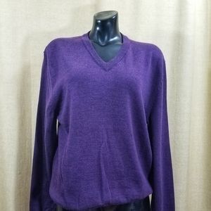 Express Studio Design V-neck Sweater